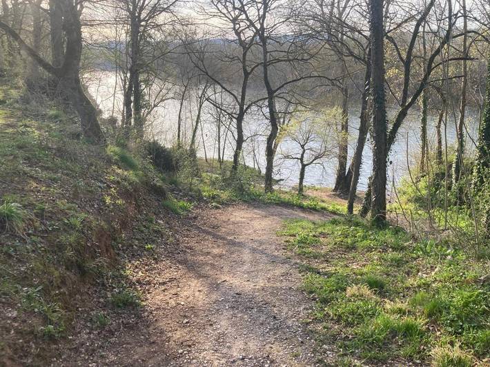 Chambre d’hôte pour 4 personnes, avec vue et jardin, animaux acceptés à Saint-Vite - 4