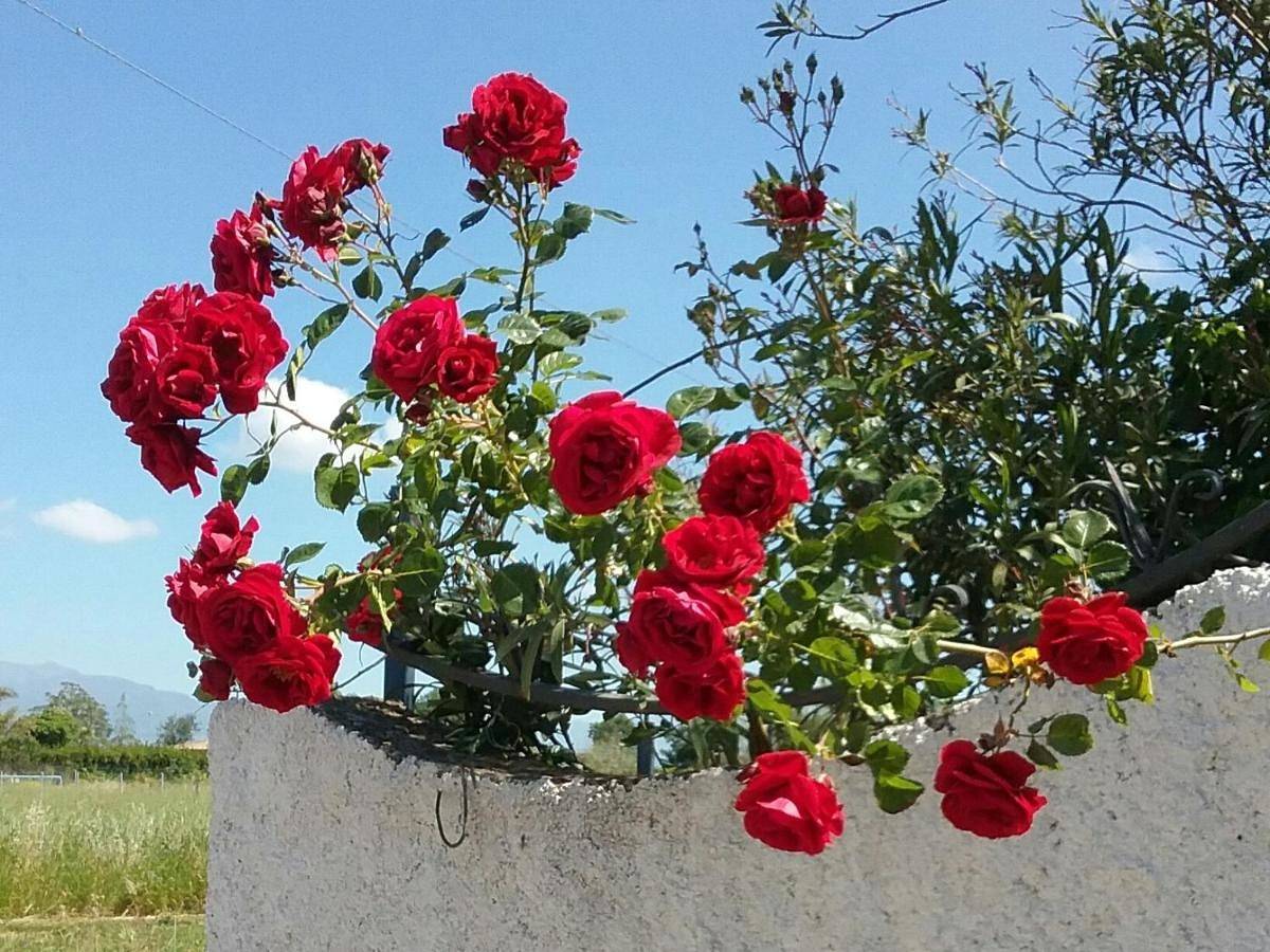 Quadruple Room in Altavilla Silentina, Cilento