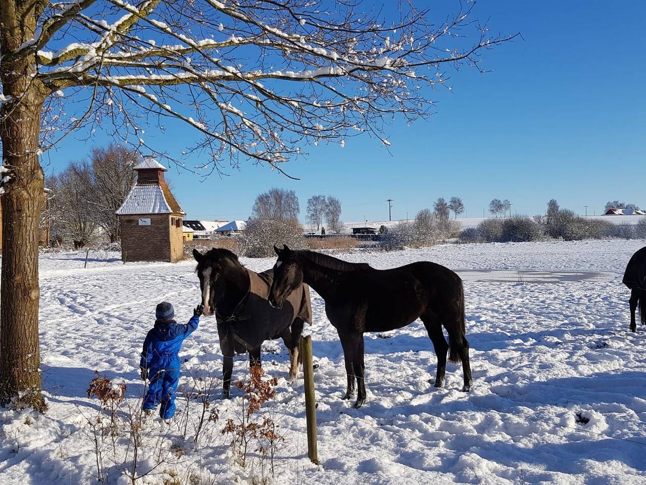 Ganze Ferienwohnung, Ferien am Schloss Duckwitz - Wohnung 2 - Die Maus in Behren-Lübchin, Mecklenburgische Ostseeküste