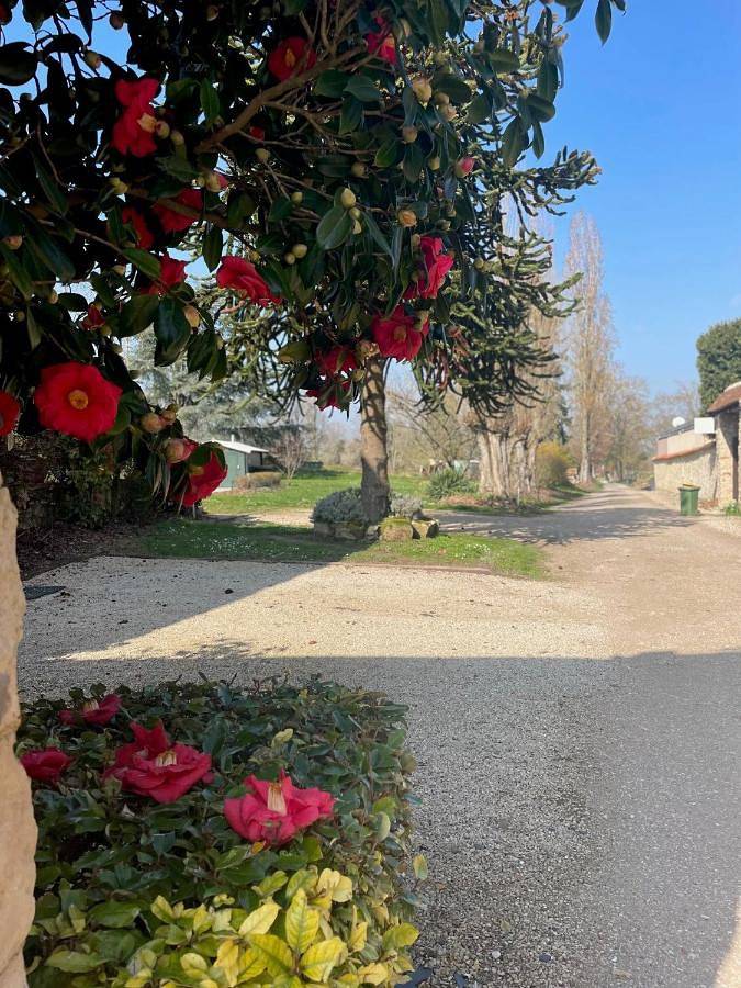 Gîte pour 2 personnes, animaux acceptés à Hargeville