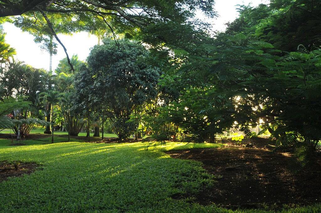 Private Garden Cottage auf 5 Hektar großen Landgut / Spaziergang zum Botanischen Garten! in Hamakua