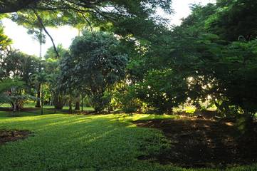 Cabin for 3 Guests in Island of Hawaii, Hawaii, Picture 3