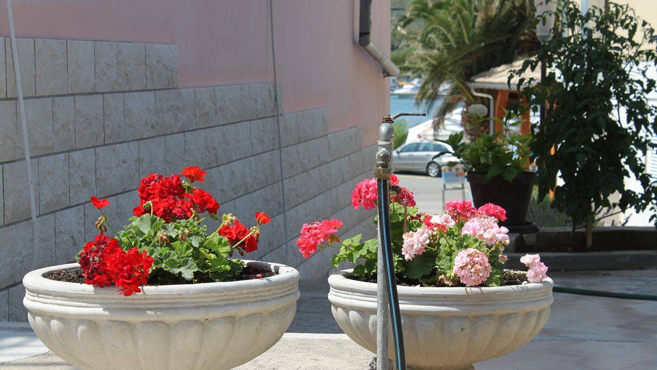 Ganze Ferienwohnung, Ferienwohnung für 4 Personen (26 m²) in Kukljica in Kukljica, Insel Ugljan