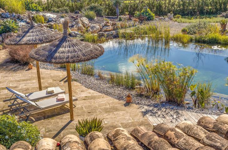 Im Herzen Mallorcas und mit großen Teich - Can Bisbal in Lloseta, Mallorca Inselmitte