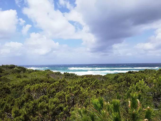 Bungalow für 4 Personen, mit Terrasse und Pool, mit Haustier auf Sardinien - 3