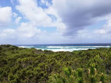 Camping voor 4 Personen in Badesi, Olbia-Tempio, Afbeelding 2