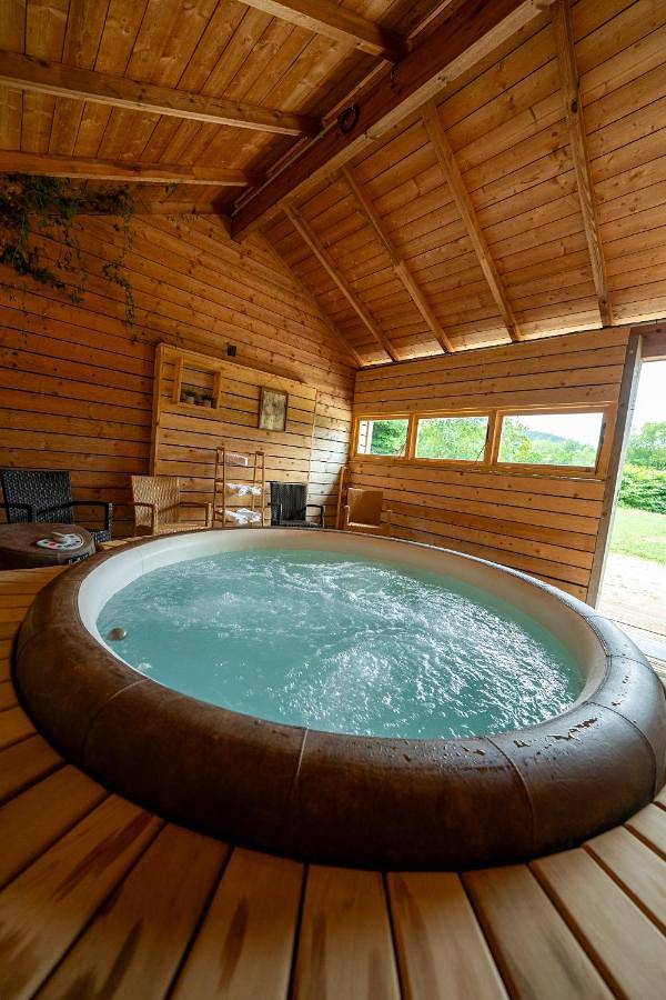 Hôtel pour 2 personnes, avec jardin et jacuzzi ainsi que piscine et sauna, animaux acceptés à Bar-sur-Aube - 4