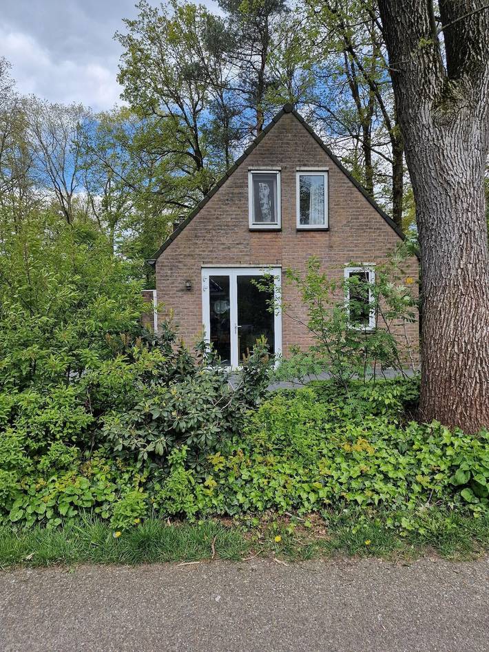 Ferienhaus für 8 Personen, mit Garten in Hoge Hexel - 4