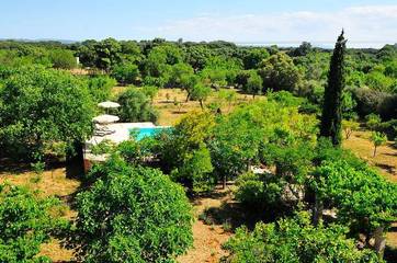 Villa in Búger, Majorca Center für 8 