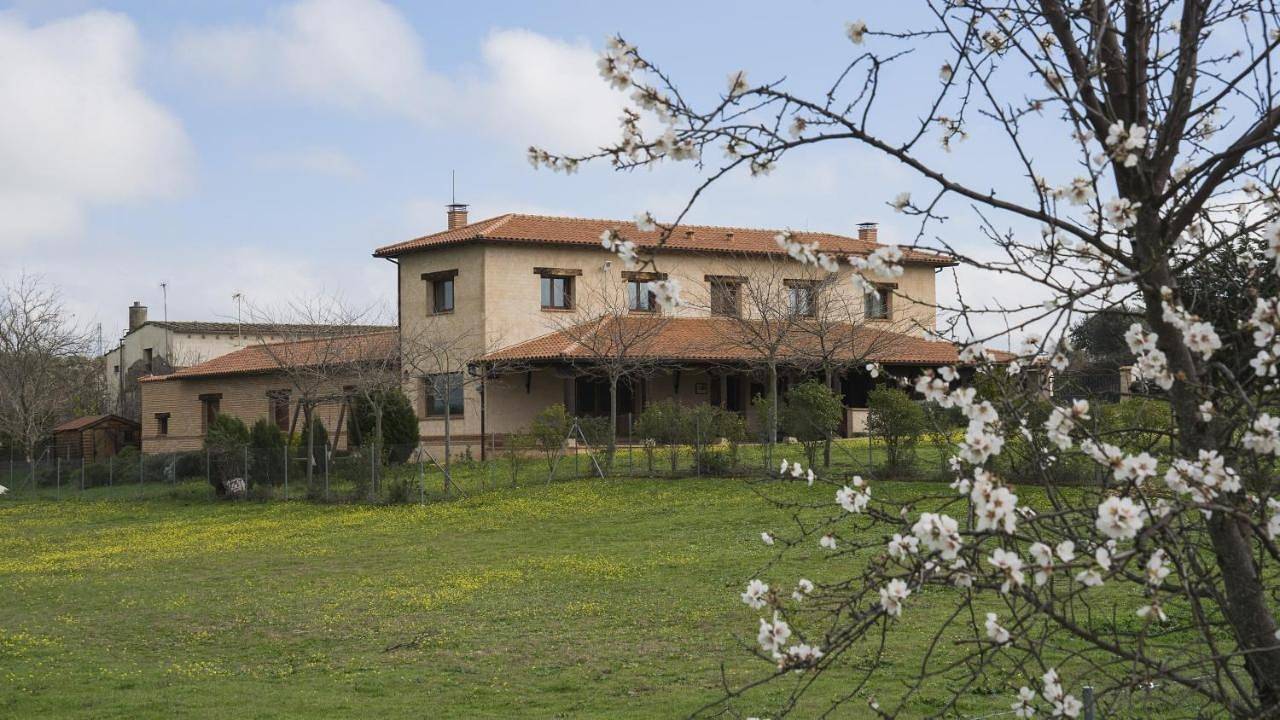 Seven-Bedroom House in Oropesa, Provincia de Toledo