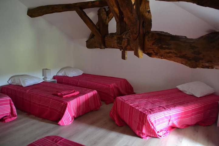 Location de vacances pour 17 personnes, avec terrasse ainsi que jardin et jacuzzi, animaux acceptés à Bourg-de-Visa - 3