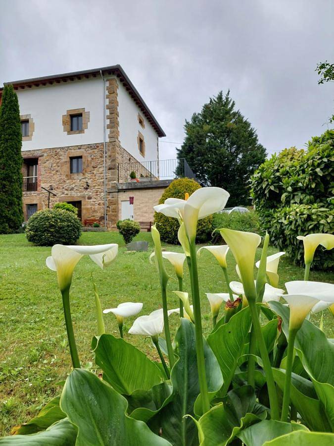 Casa rural para 4 personas, con vistas además de terraza y jardín en Valle del Miera - 2