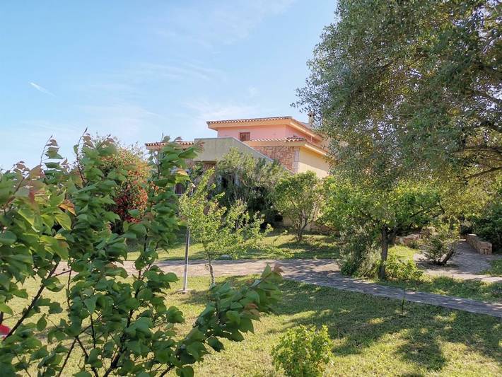 Appart’hôtel pour 2 personnes, avec Balcon ainsi que Terrasse et Jardin à Budoni