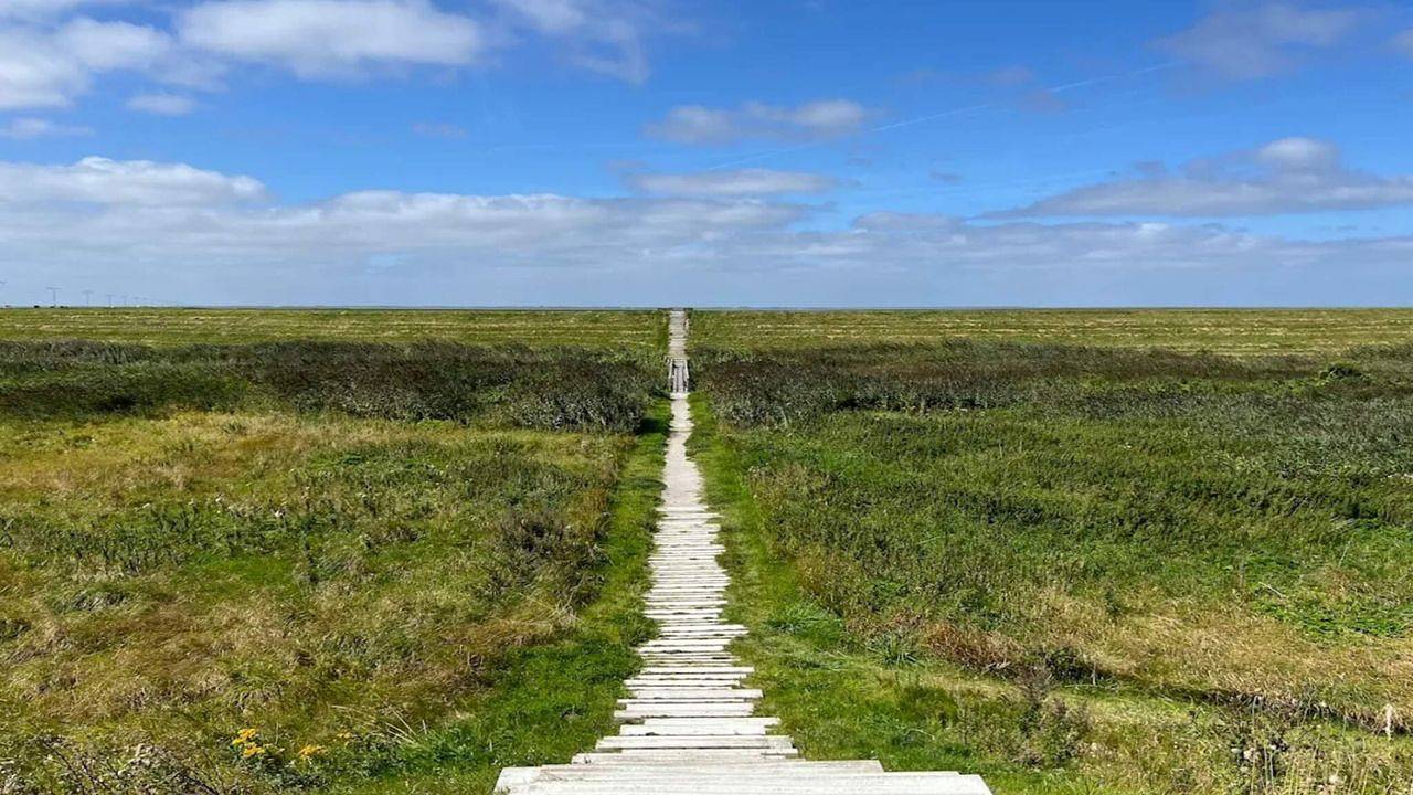 Ferienhaus für 4 Personen (54 m²) in Skærbæk in Skærbæk, Tondern und Umgebung