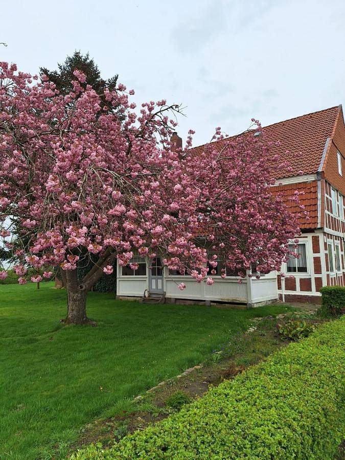 Gasthaus zur Grenze in Altenbruch, Cuxhaven