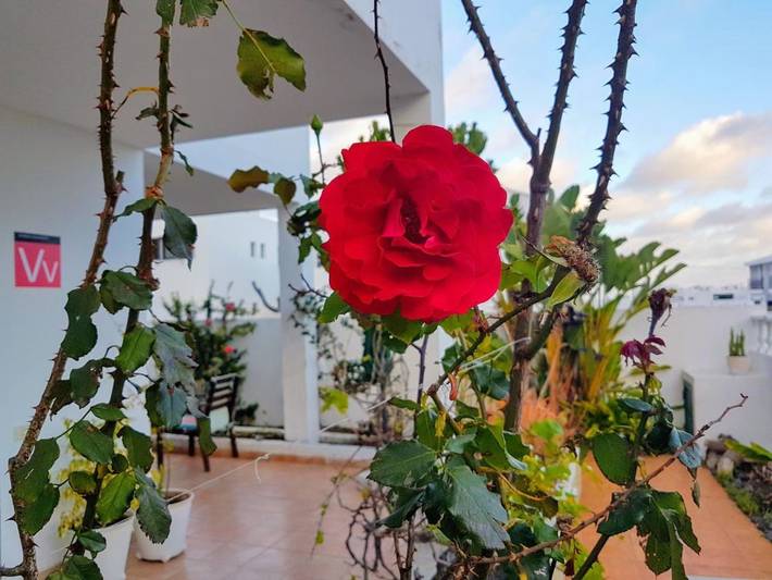 Location de vacances pour 5 personnes, avec jardin et vue à Arrieta - 2