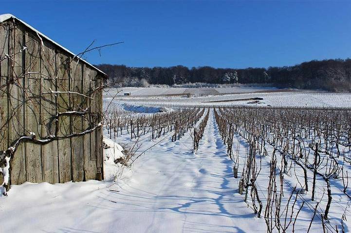 Chambre d’hôte pour 2 personnes, avec vue et jardin, animaux acceptés dans Marne - 4