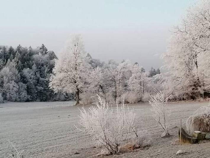 Ganze Wohnung, Ferienwohnung Miedl - „Neuhäusler Idyll“ ruhige Ferienwohnung mit sonnigem Südbalkon in Hauzenberg, Passauer Land