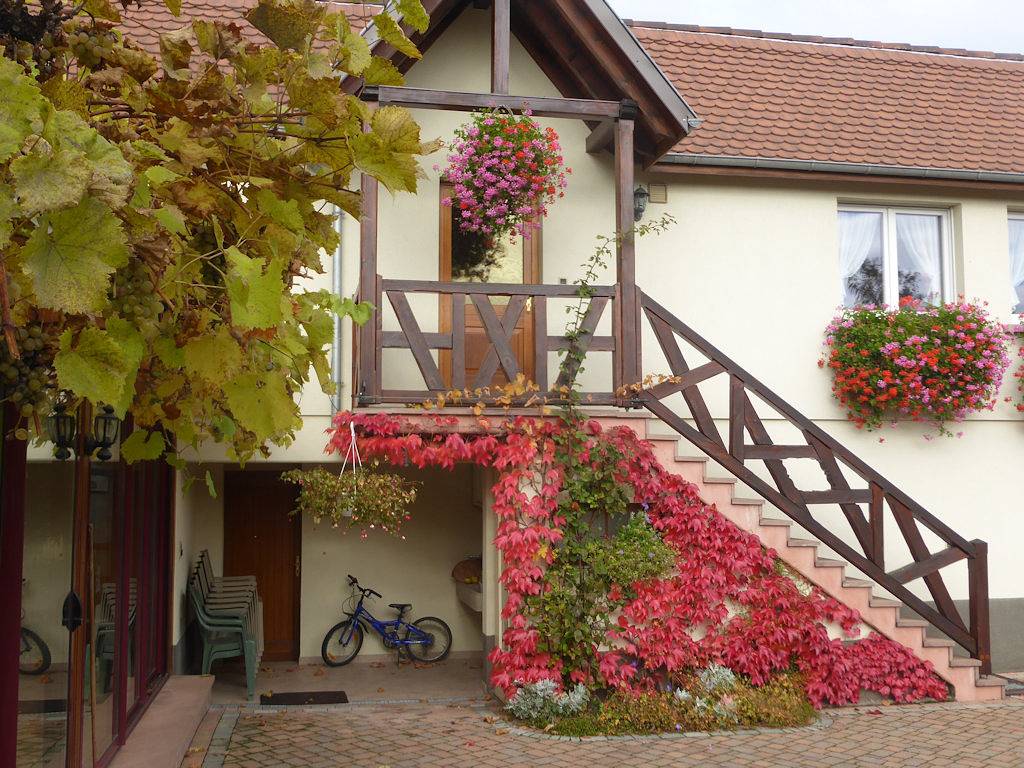 Studio entier, Gite Rose des vignes in Orschwiller, Région de Sélestat-Erstein
