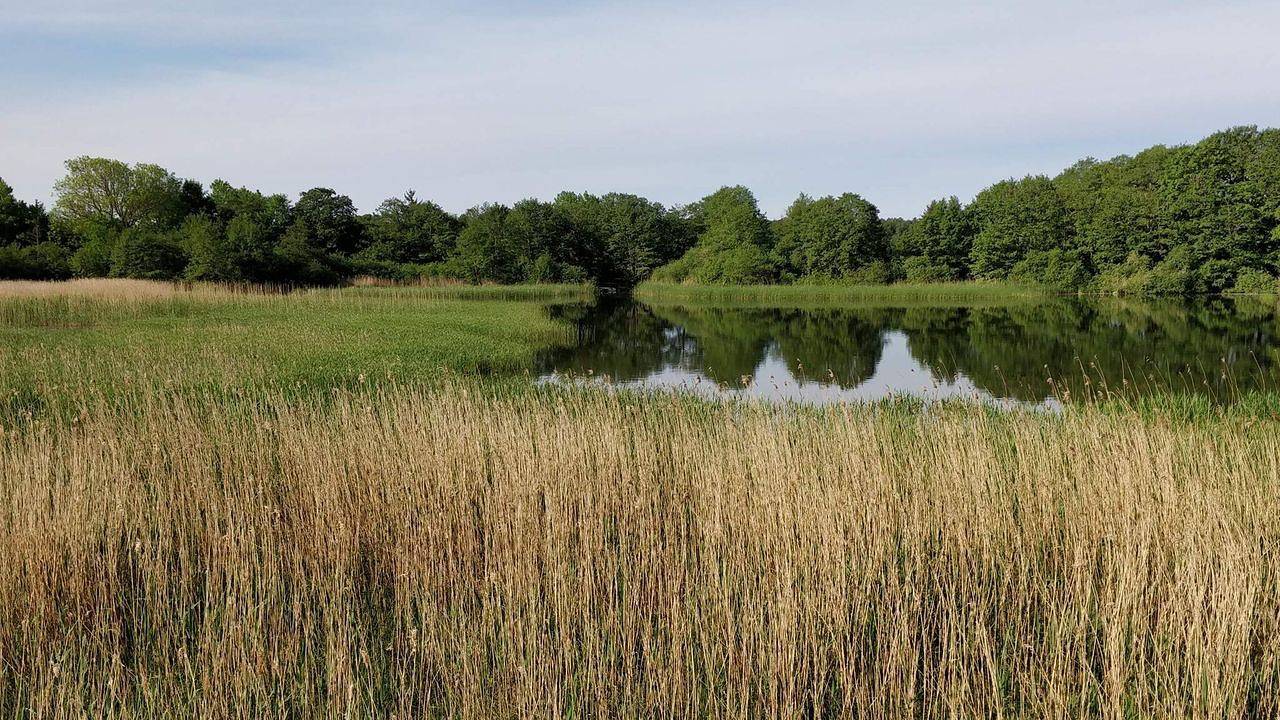 Ferienhaus für 4 Personen (50 m²) in Ebeltoft in Fuglslev, Ebeltoft