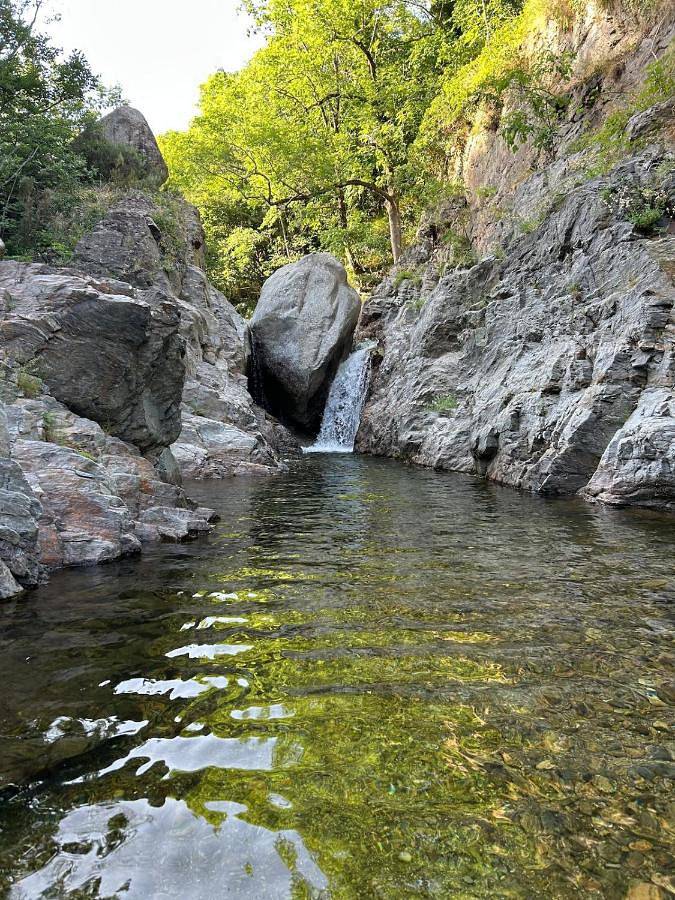 Tipi Nature a l'Ombre des Tilleuls à Vialas en Cévennes - Animaux ferme in Vialas, Parc national des Cévennes