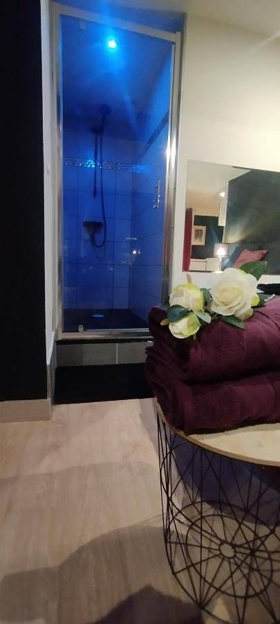 Gîte pour 2 personnes, avec jacuzzi, animaux acceptés à Saint-Amarin - 4