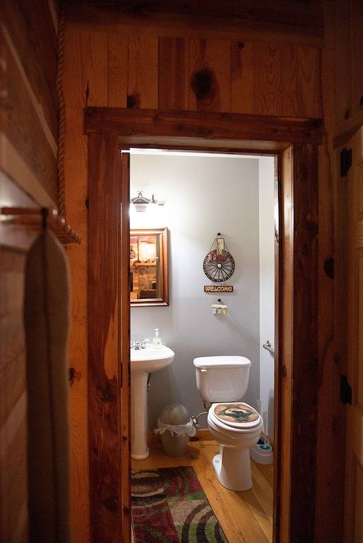 Log Lodge mit Blick auf den See und die Berge in Page County