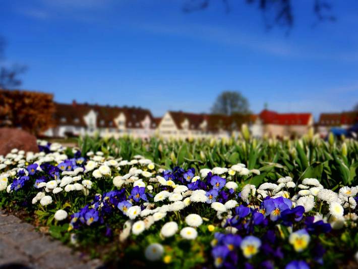 Ferienwohnung für 3 Personen in Freudenstadt - 2