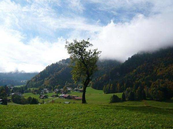 Ganze Ferienwohnung, Falkenberg Wohnung 218 in Tiefenbach (Oberstdorf), Oberstdorf