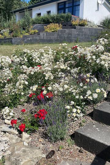 Ferienhaus für 6 Personen, mit Terrasse und Garten im Teutoburger Wald