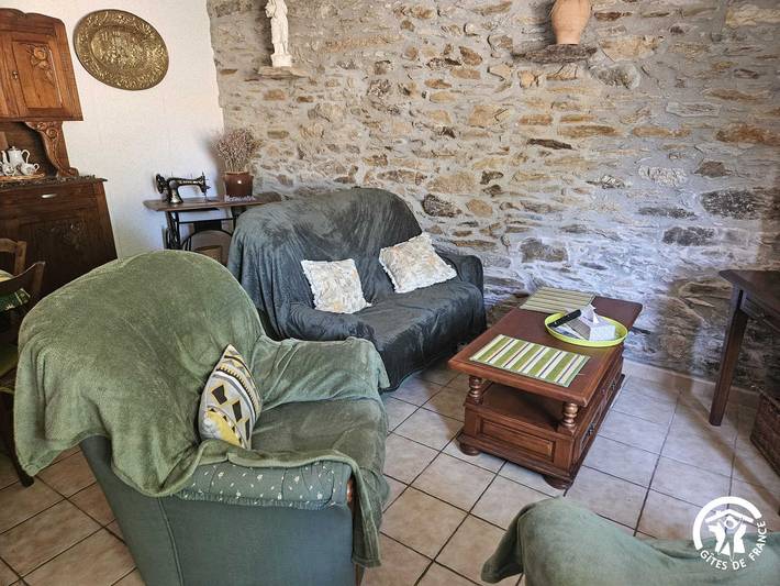 Gîte pour 6 personnes, avec piscine et terrasse, animaux acceptés dans le Tarn - 4