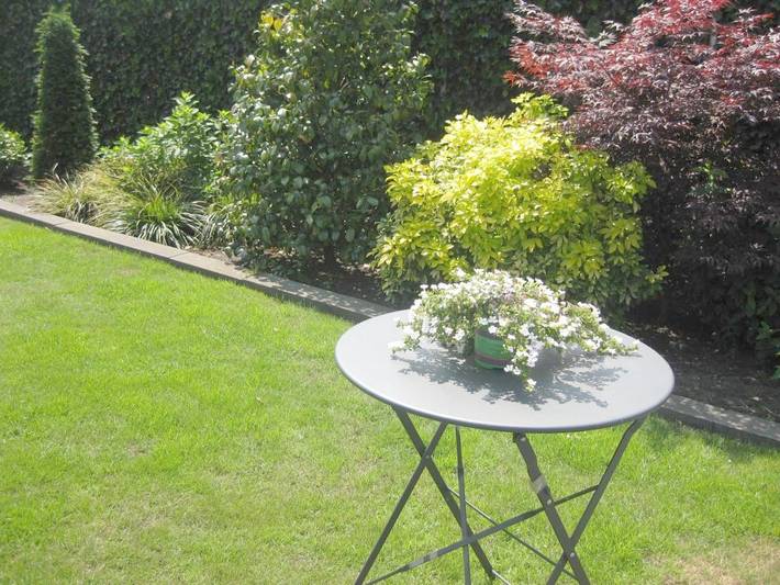 Gîte pour 2 personnes, avec jardin et vue dans Nijverdal - 3