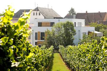Ferienwohnung für 2 Personen, mit Terrasse und Sauna sowie Garten in Edenkoben