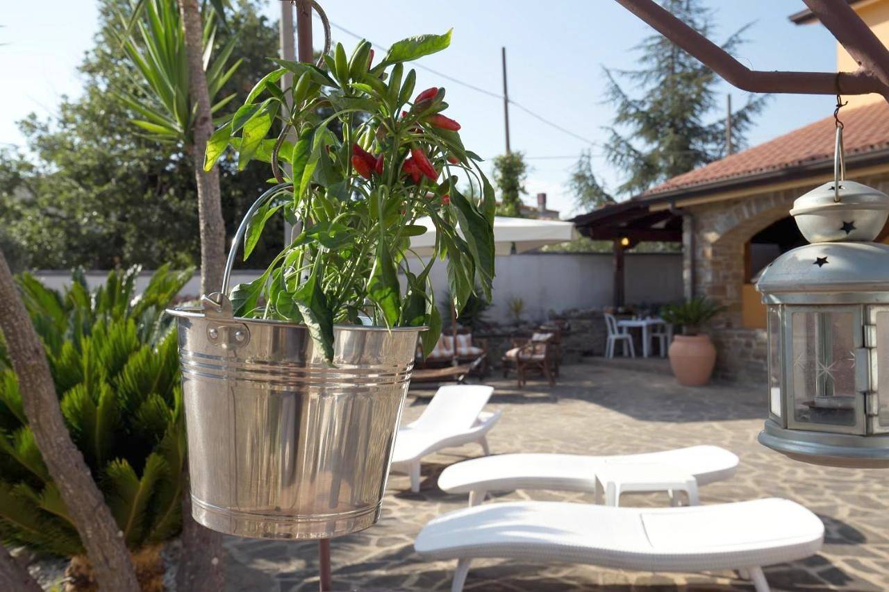B&B Fasolino in Montecorice, Cilento Coast