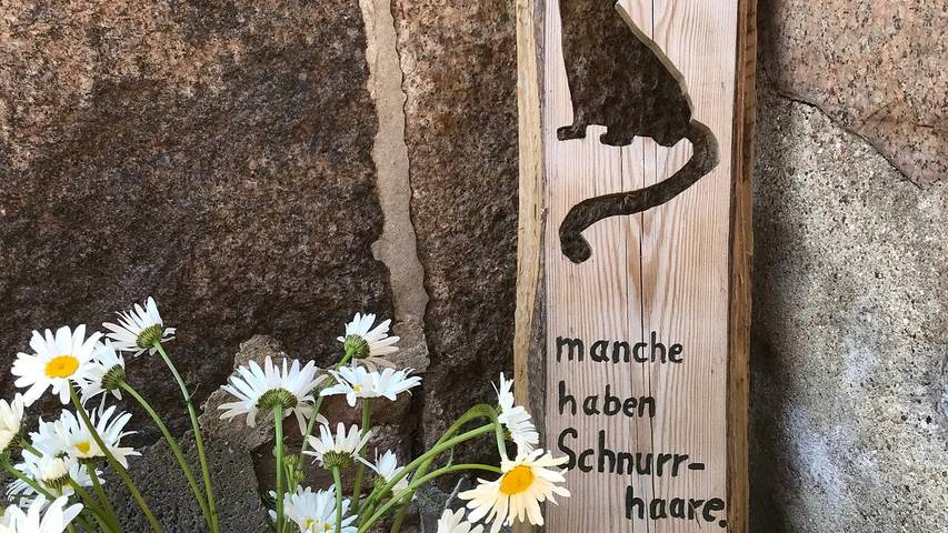 Ferienwohnung für 3 Personen, mit Garten in Sulsdorf - 3