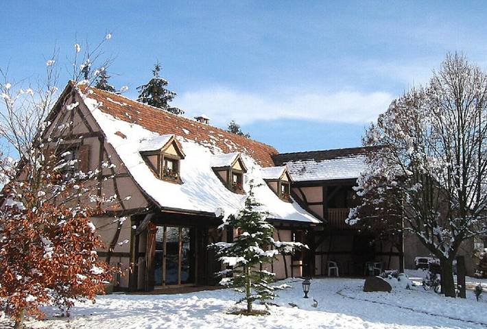 Gîte pour 11 personnes, avec jardin et balcon dans Grand Est - 2