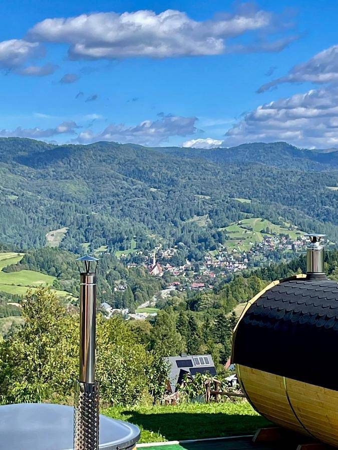 Domek letniskowy dla 5 osób, z Jacuzzi i Taras oraz Ogród i Sauna w Pieniny