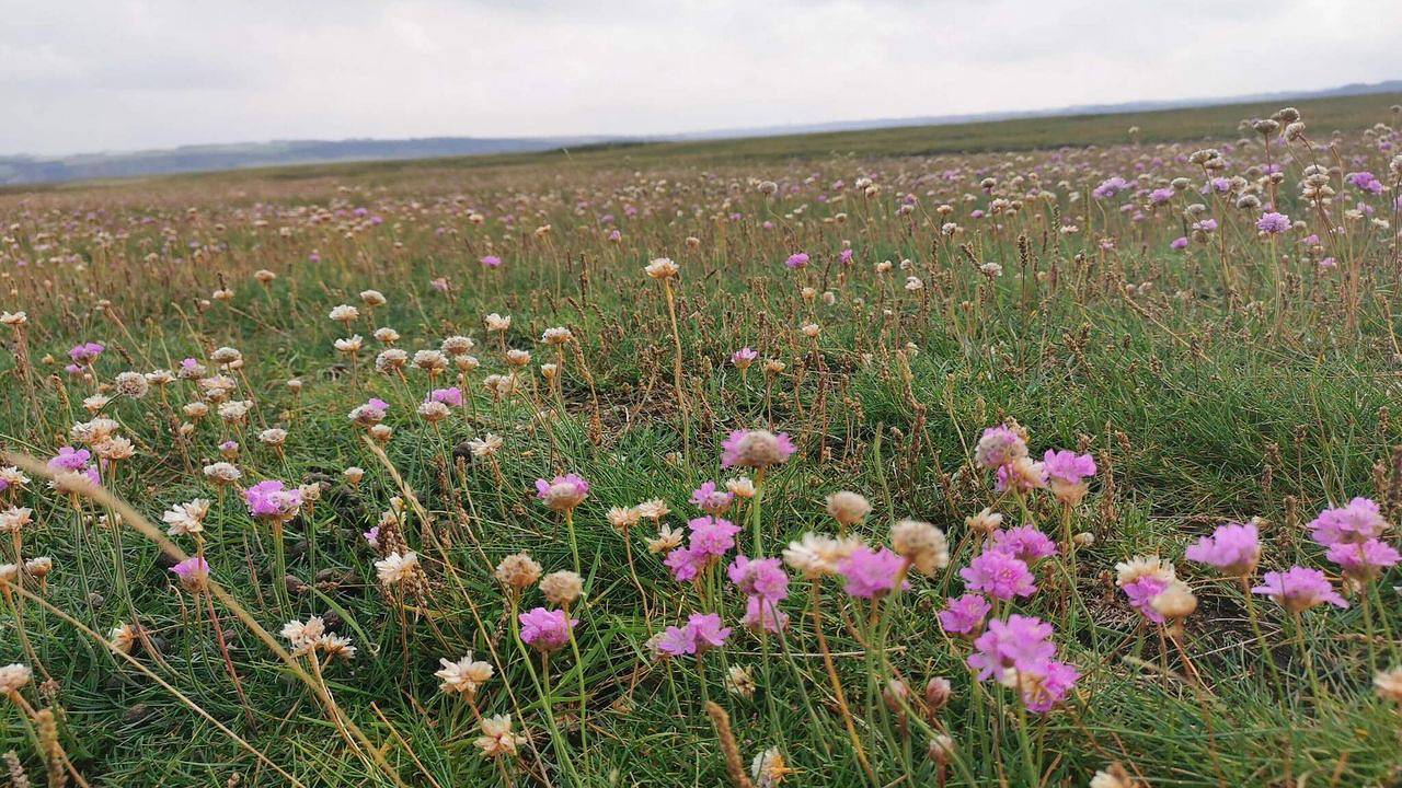 Ganze Ferienwohnung, Ferienwohnung für 6 Personen (57 m²) in Gjellerodde in Lemvig, Limfjord in Westjütland