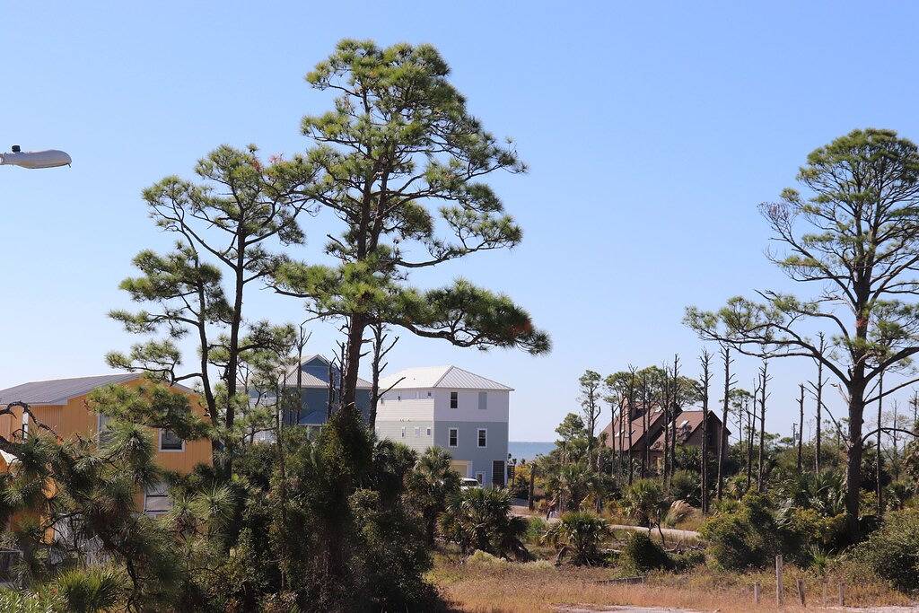 Cape San Blas - Gulf and Bay in Emerald Coast