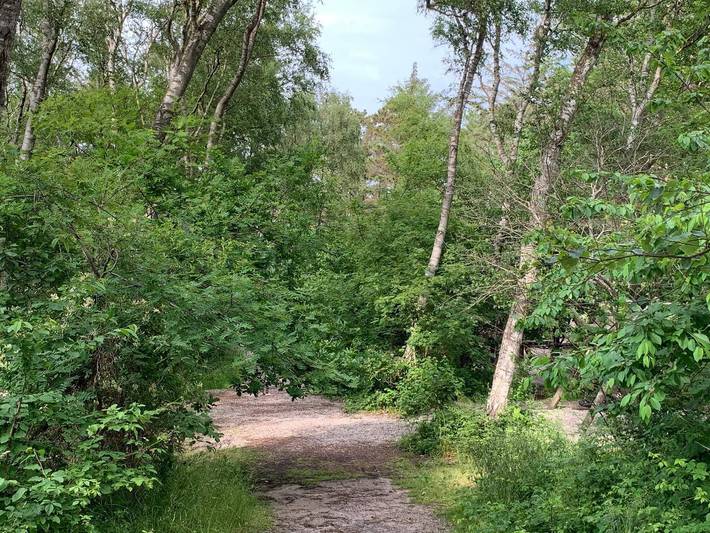 12 Personen Ferienhaus in Hundested in Hundested, Kattegat Küste