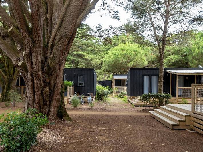 Bungalow für 6 Personen auf der Ile de Re - 2