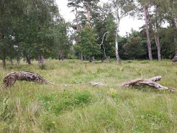 Ferieudlejning til 8 Personer i Marielyst, Lolland-Falster, Billede 2