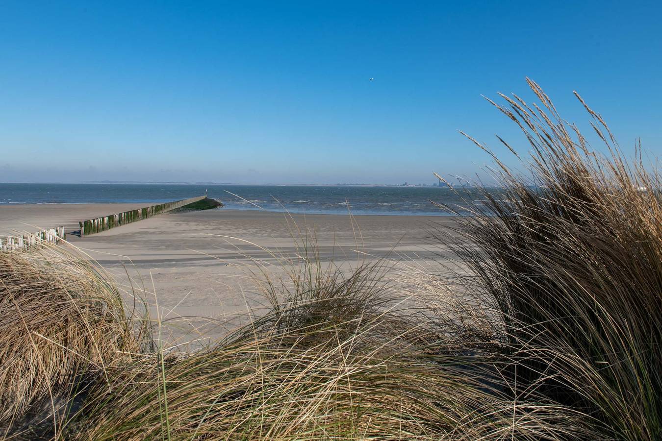 Kustverhuur Zeeuws Vlaanderen — Nieuwe Sluisweg 6A in Zeeuwse Kust