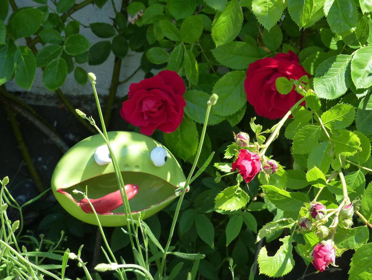 Ganze Ferienwohnung, Ferienwohnung Eifelrose - 4-Bett-Ferienwohnung Dusche/Wc bis 6 Personen in Ulmen, Cochem-Zell