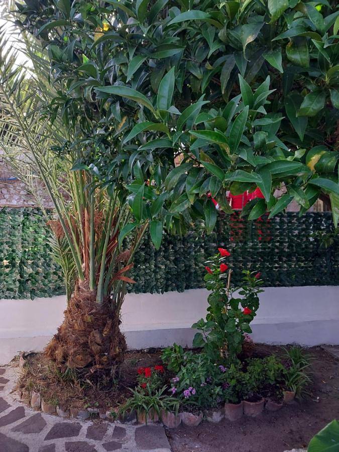 Double Room with Private Bathroom in Palinuro, Centola