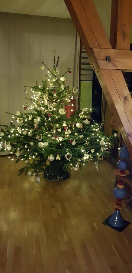 Double Room in Kurtzenhouse, Région de Strasbourg