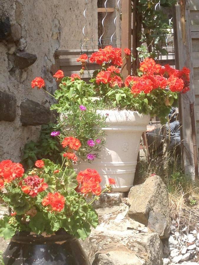 Location de vacances pour 4 personnes, avec vue et jardin à Saint-Étienne-de-Boulogne - 2