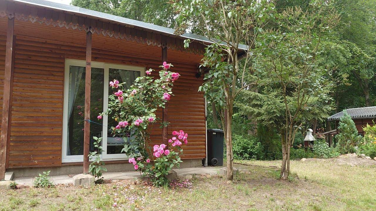Waldhaus Halvor in Gardelegen, Altmarkkreis Salzwedel