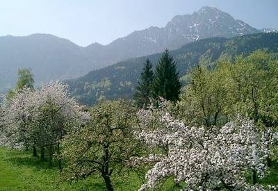 Pension für 3 Personen, mit Balkon und Garten, kinderfreundlich in Deutschland - 3