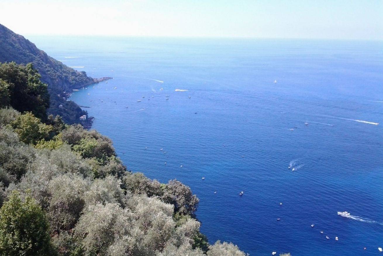 Entire apartment, Li 06 - Casa Constanza - Peace and relaxation in Liguria in San Rocco di Camogli, Camogli